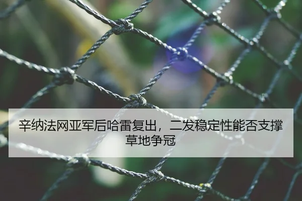 辛纳法网亚军后哈雷复出，二发稳定性能否支撑草地争冠